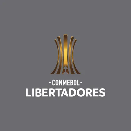 90db24e2-c994-4d9b-ad0c-b929b19e7c12_square-11copa-libertadores